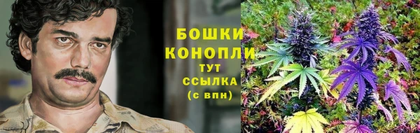 МДПВ Бердск